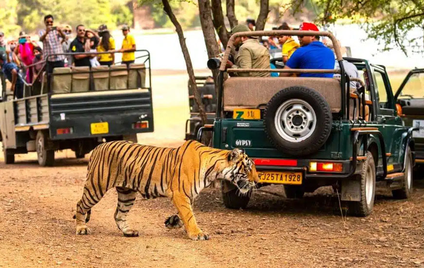 Golden Triangle Tour with Ranthambore